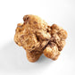 La Rustichella - White Truffle Pate - Small (90 g, 3.2 oz) - Kosher, Gluten Free