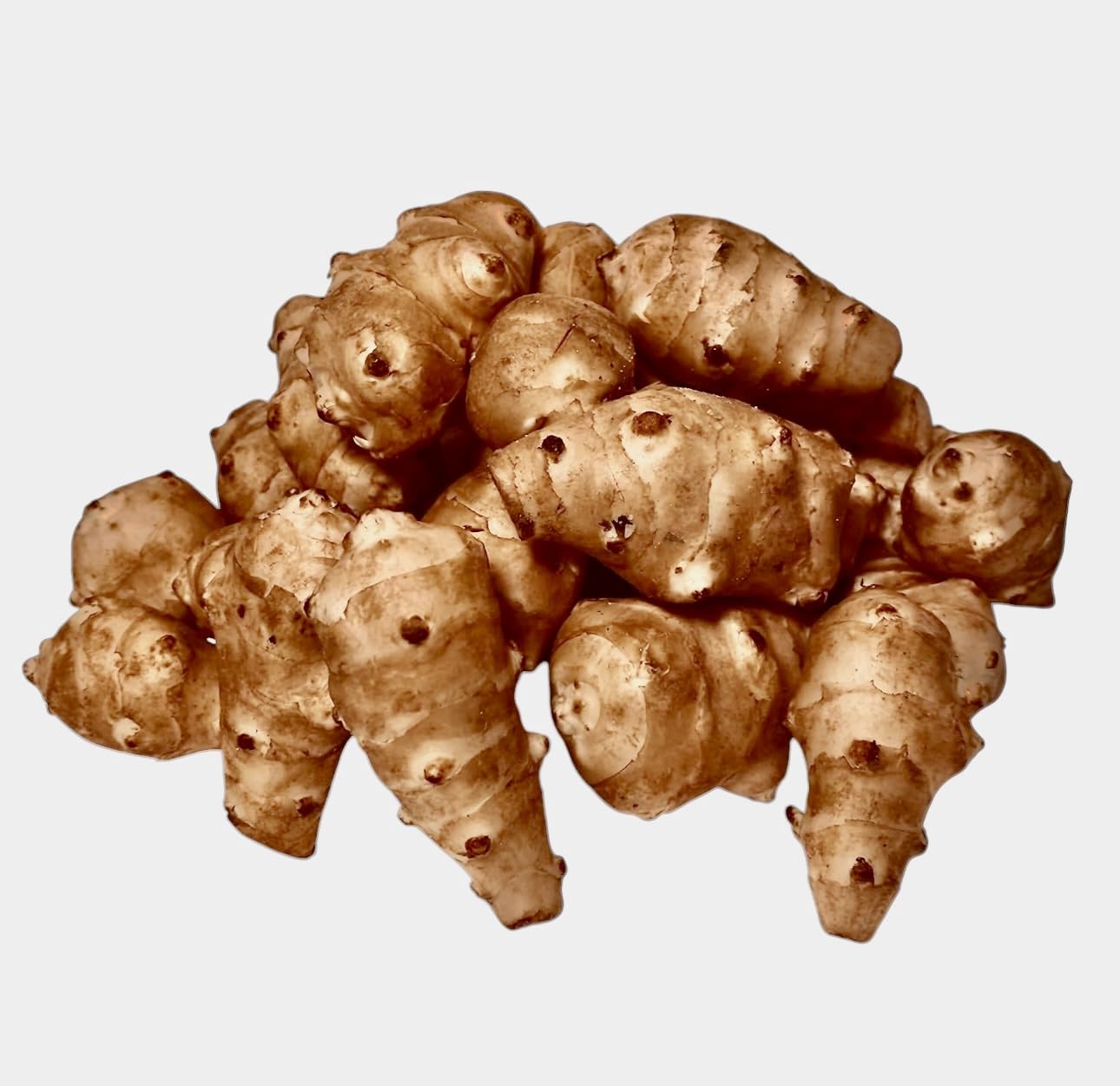 Kejora Fresh Jerusalem Artichokes (Sunchokes or Sunroot) for Planting or Eating - 4 pounds Ship FedEx 2nd Day Air