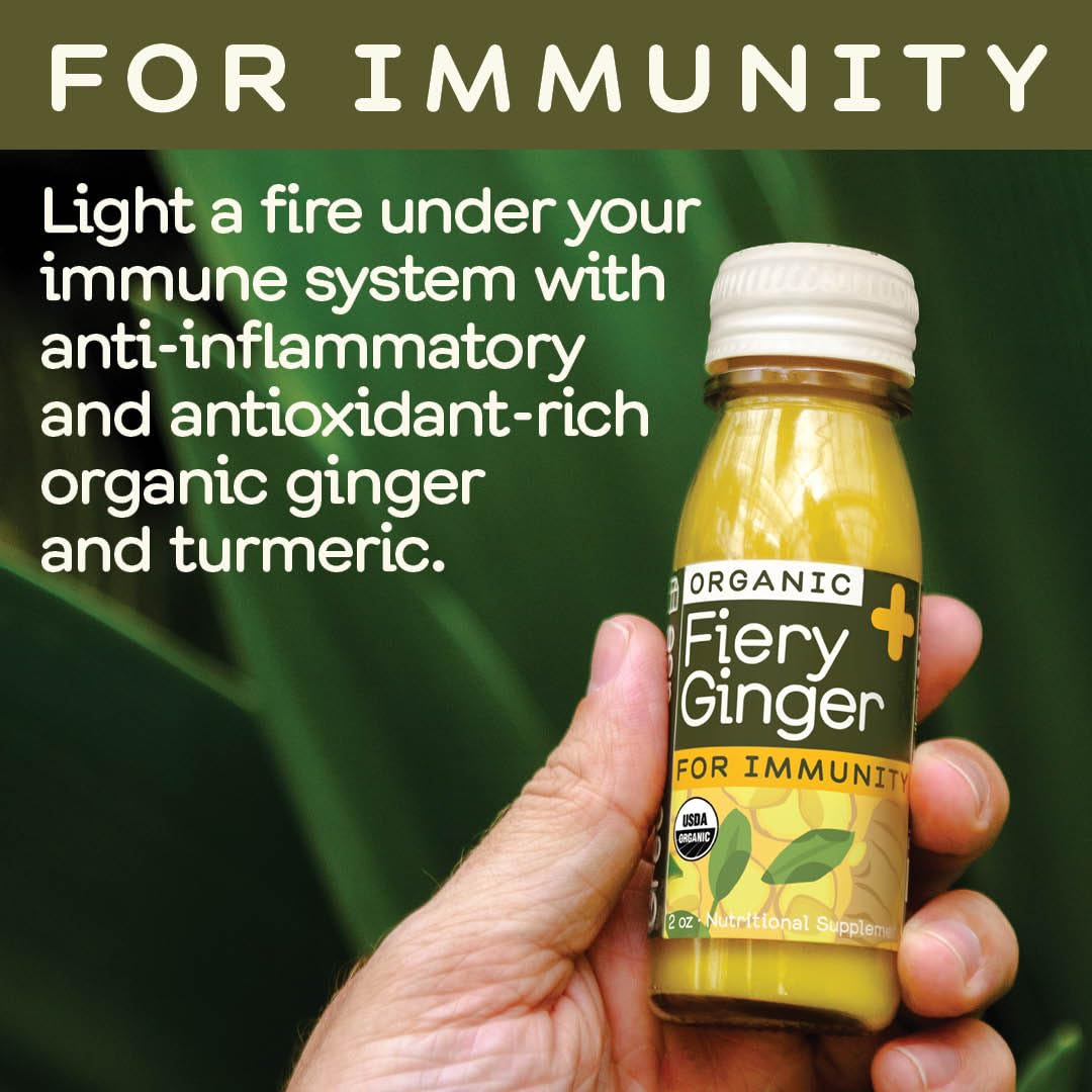 Greenhouse Juice Organic Fiery Ginger Wellness Shots 12-Count 60Ml Glass Bottles, Vegan & Gluten-Free