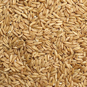 Jojo's Certified Organic Non-GMO Whole Uncut Hulled Oat Groats 5 lbs Bulk Food Grains Good Source of Fiber 100% Product of USA