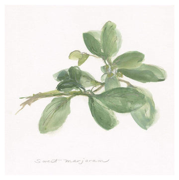 Sweet Marjoram -Paper Art-38''X38''