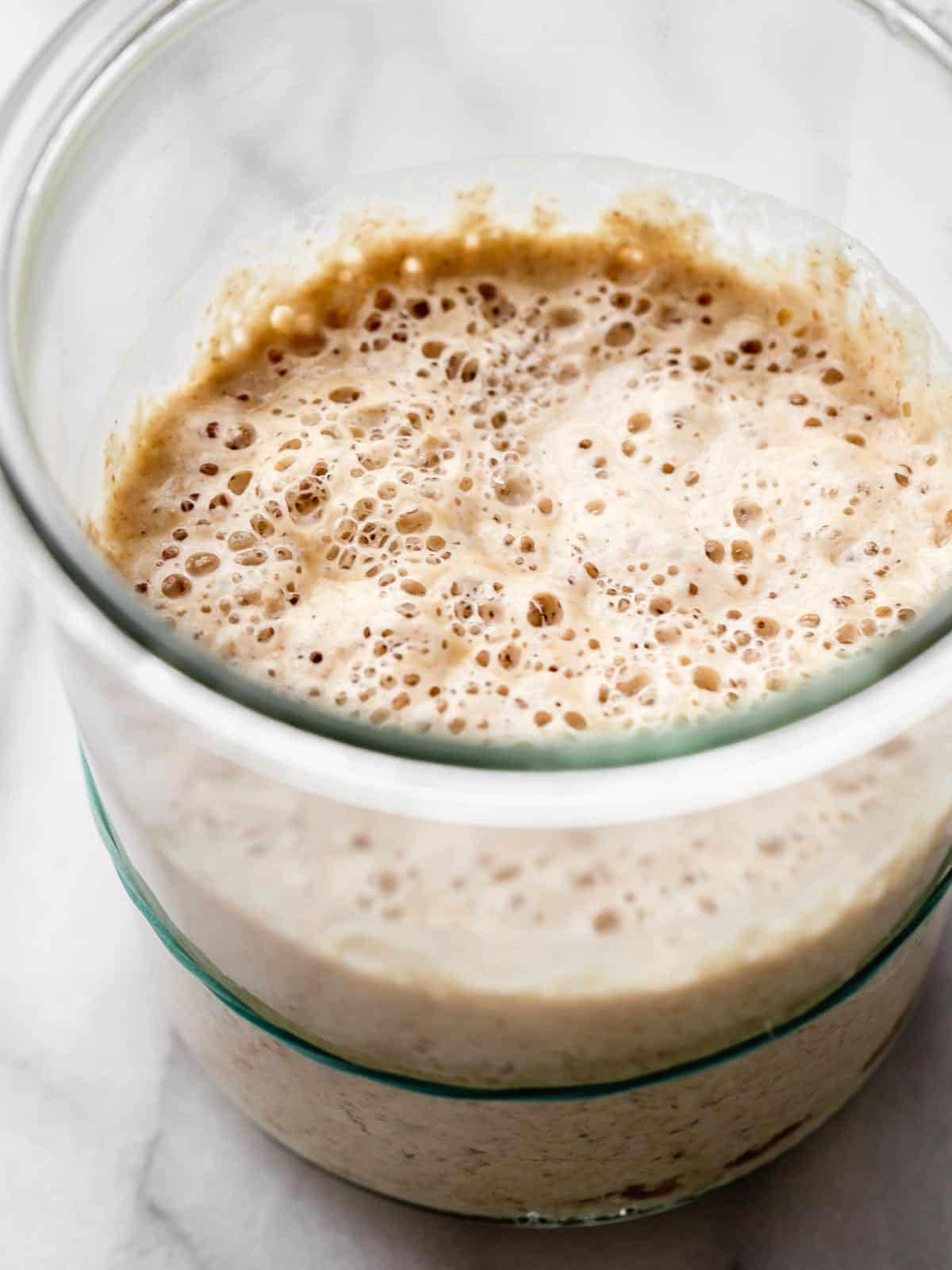 Generic Einkorn Sourdough Starter - Live Active Culture, 100 Grams in Glass Ball Mason Jar