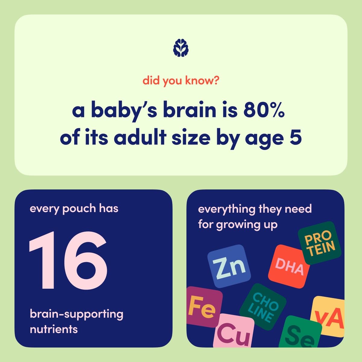 Cerebelly Organic Baby Food Pouches - Dairy Free Smoothies for Toddlers | No Added Sugar, Fiber, Non-GMO | Toddler Smoothie Pouc