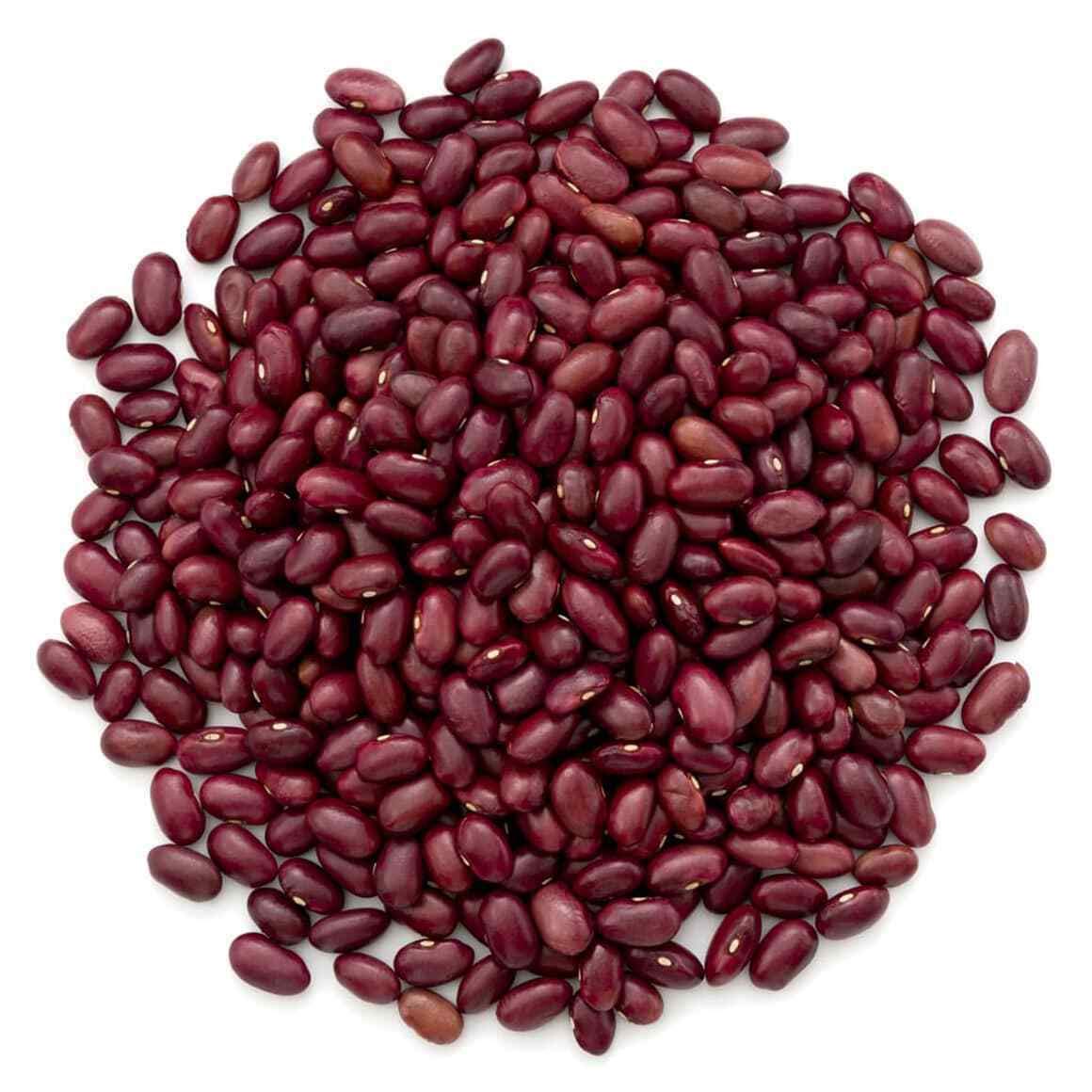 Food to Live Organic Dark Red Kidney Beans, 10 Pounds - Non-GMO, Kosher, Raw, Sproutable, Vegan