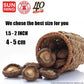 FUYUKI Dried Shiitake Mushrooms, Premium Grade AAA, 16 oz, Natural, Dehydrated, 1 Pound
