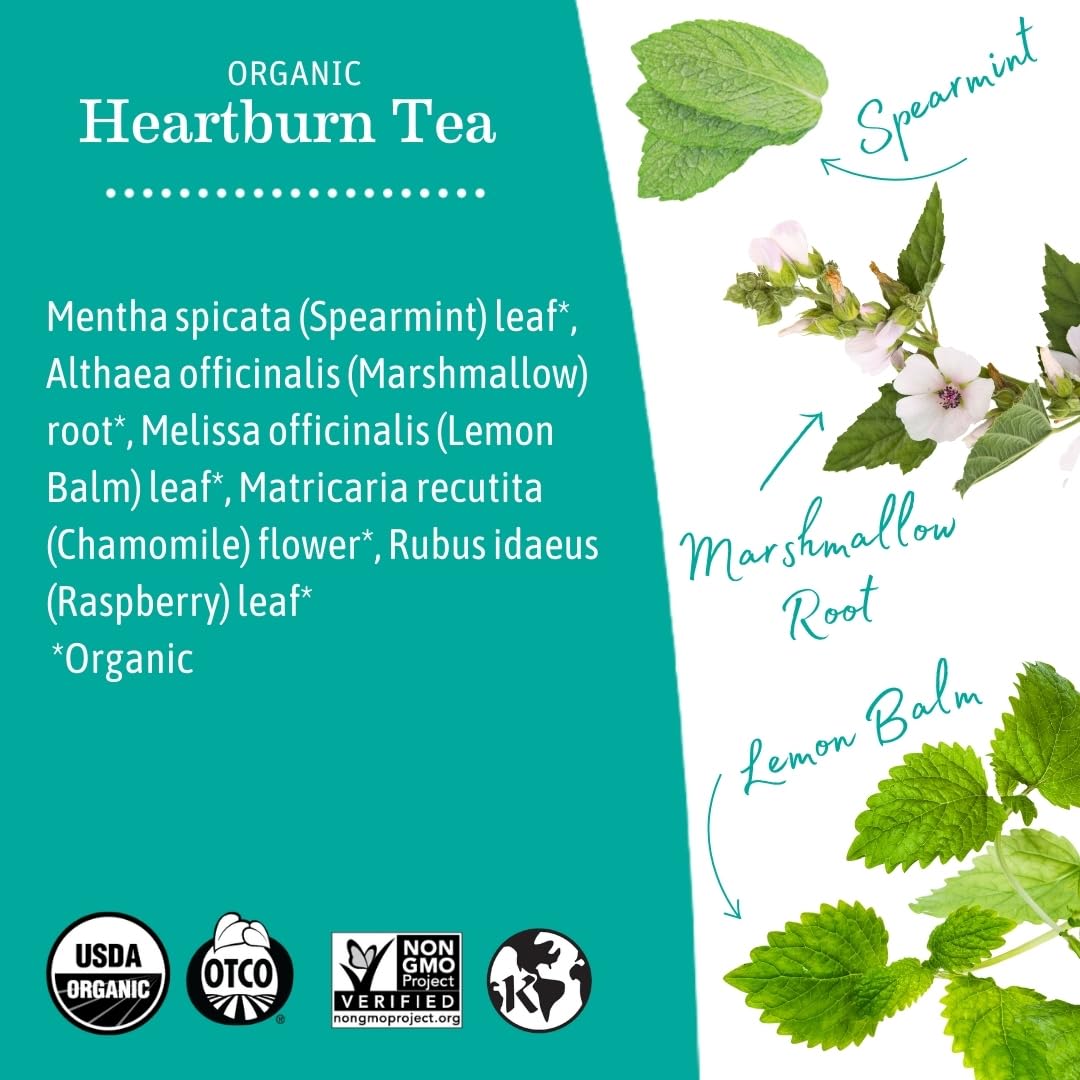 Earth Mama Organic Heartburn Tea - Herbal Blend with Marshmallow Root & Chamomile, 16 Teabags (3-Pack)