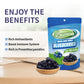 Frenature Freeze Dried Blueberries, 100% Natural, Gluten Free & Vegan, 1.27 Ounce (Pack of 4)