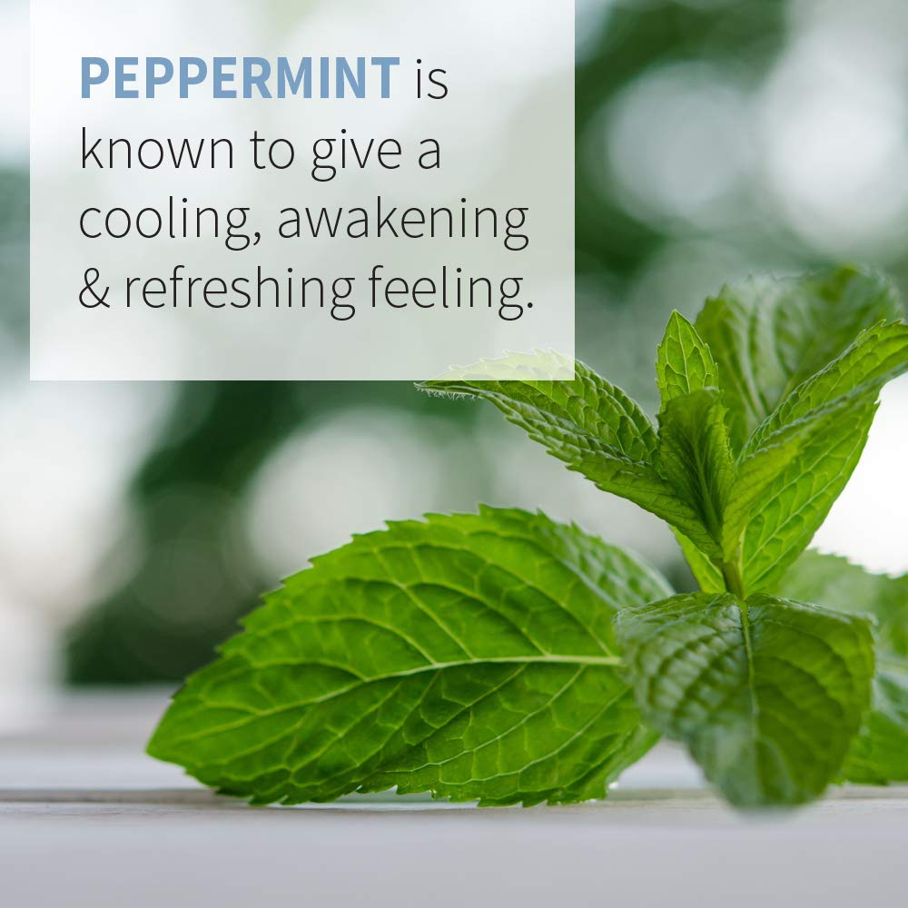 Garden Of Life Essential Oil, Peppermint 0.5 Fl Oz (15 Ml), 100% Usda Organic & Pure, Undiluted & Non-Gmo - For Diffuser, Aromat