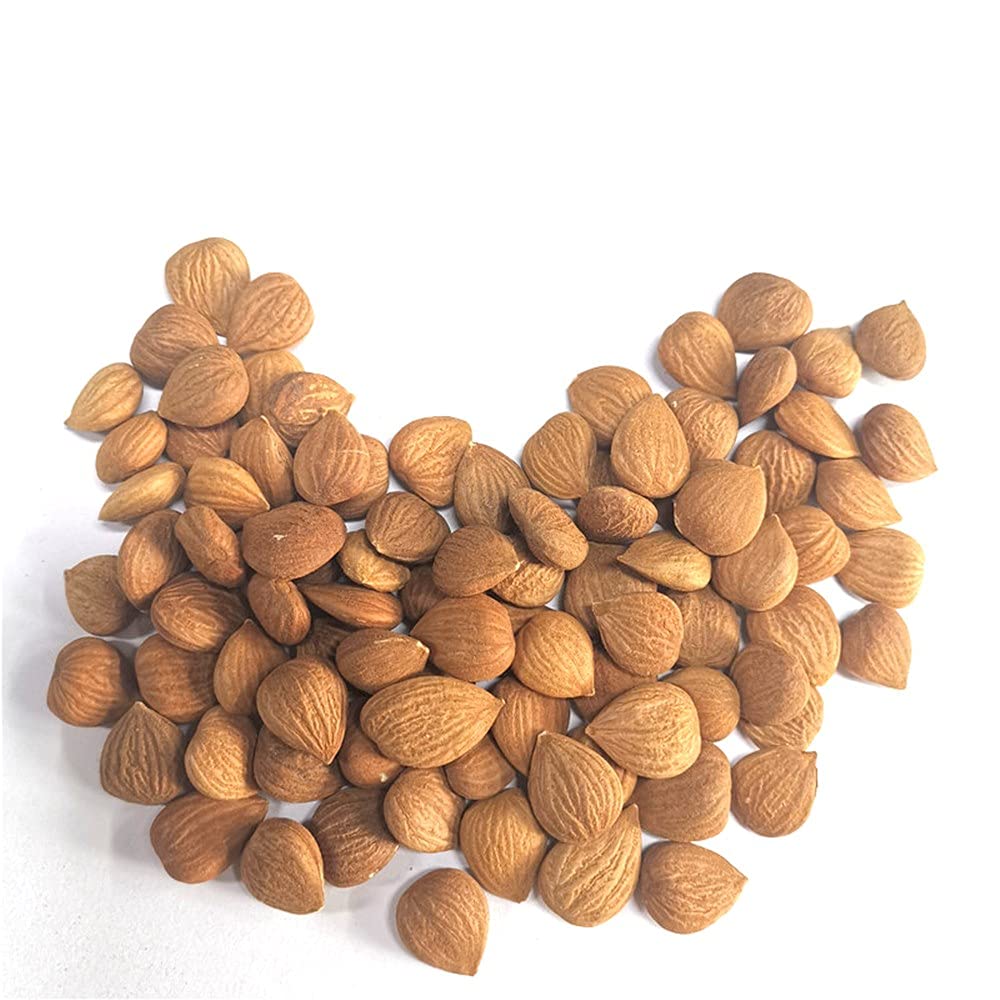 Natural Raw Bitter Apricot Kernels 16oz  Organic USDA Certified Bitter Apricot Seeds 1LB