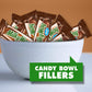 MILKY WAY Milk Chocolate Candy Bars  Fun Size Candy Chocolate  10.65 oz