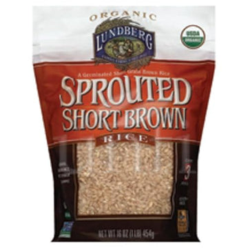 Lundberg Rice Sprtd Brwn Short