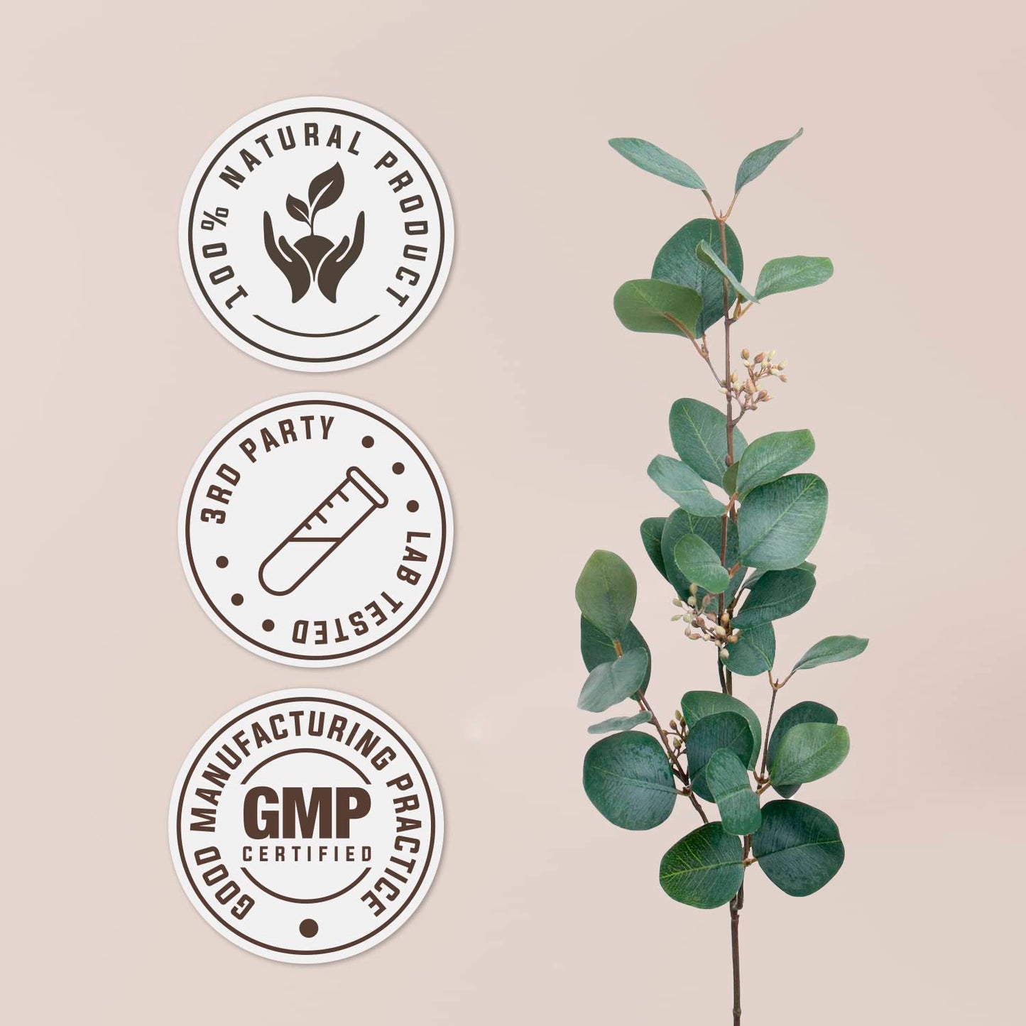 Garden Organics Celery Extract - Organic Dried Fruit & Seed Tincture, 4 Fl Oz