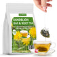 ULTHMOK Dandelion Leaf & Root Tea - 100 Tea Bags, Caffeine Free, Supports Digestion, 7.06 Oz
