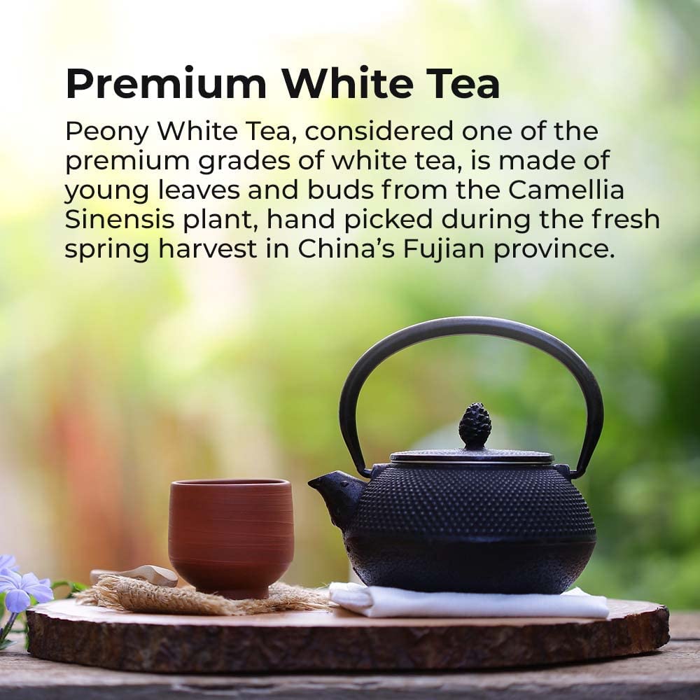Prince Of Peace White Tea Bags, Premium Grade White Peony Tea, 100 Count, Model D-18100N