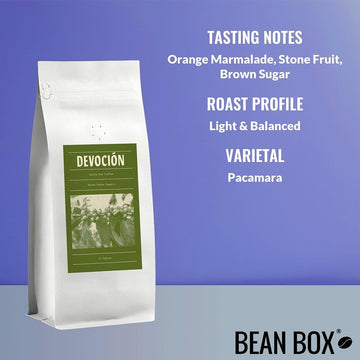 Terra Verde Organic - Roasted By Devocion - Whole Bean Coffee - 12 Ounce Bag