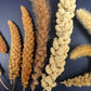 Usa Grown Organic Millet, Whole Grain Seeds Non Gmo Hulled Gluten Free Bulk Raw