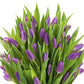 KaBloom Flowers -Valentine's Day Collection - 30 Purple Tulips, Gift for Birthday, Sympathy, Anniversary, Get Well, Thank You, V
