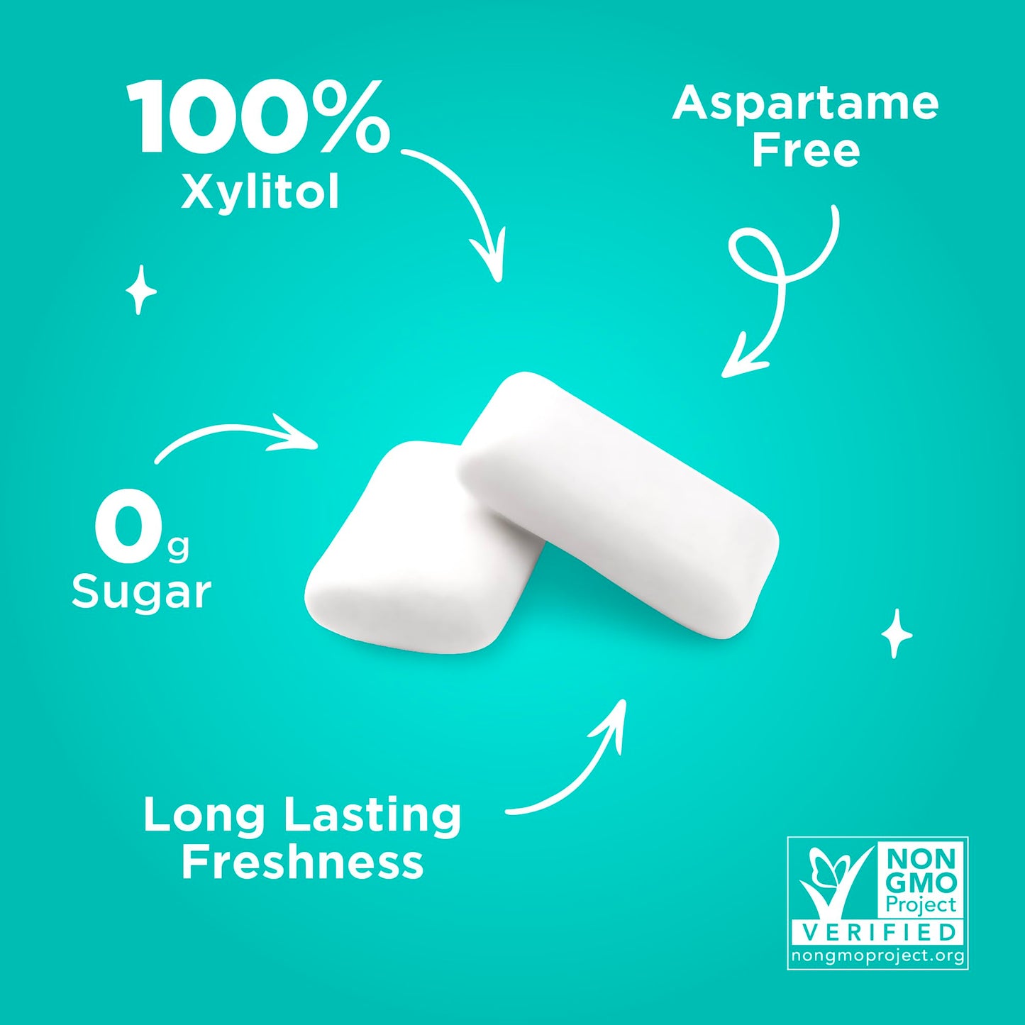 Pur Gum | Aspartame Free Chewing Gum | 100% Xylitol | Natural Wintergreen Flavored Gum, 9 Pieces (Pack Of 12)