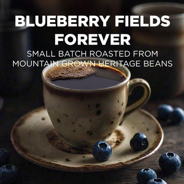 Maud'S Blueberry Flavored Coffee Pods, 18 Ct, Medium Roast Flavored Coffee In Recyclable Single Serve Pods - 100% Arabica Beans,