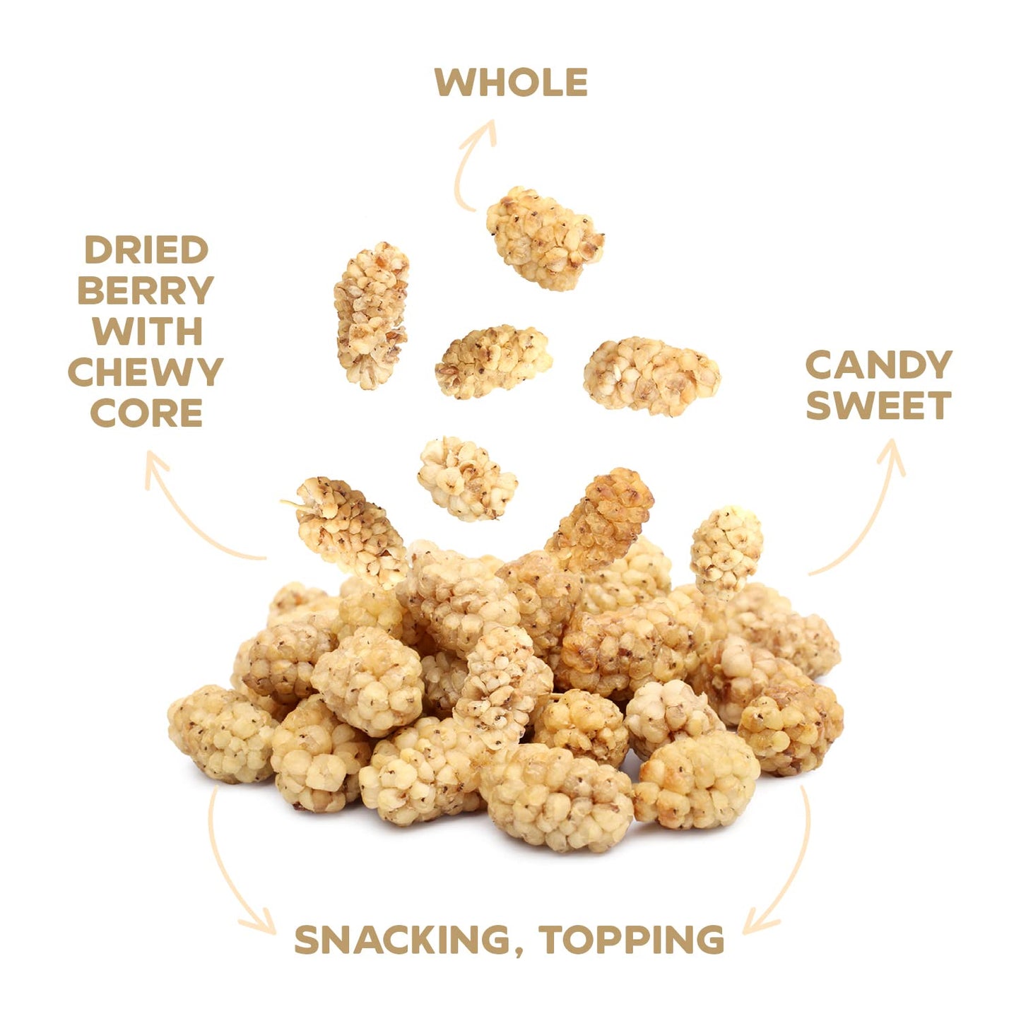Drybox Dried White Mulberries 10 Snack Pack No Sugar Added, Non-Gmo, Gluten Free - Natural Mediterranean Dried Fruit | 1.5 Oz Pe