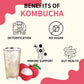 Garden Kombucha Tea, Powder 5G X 20 Sachets (100G/3.52Oz) Probiotics, Prebiotics, Sugar Free, Black Tea, Healthy Drink With Bott