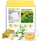 Soilmount Bidens Tripartita Tea - Non-GMO, Caffeine-Free, 18 Bleach-Free Tea Bags