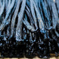 ESSENCE FOOD & BEVERAGE Tahitian Vanilla Beans, Grade 5, 12 Whole Beans for Homemade Extract, Baking & Cooking
