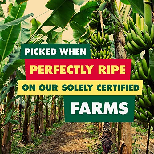 Solely - Organic Dried Mango Strips (5 Oz Resealable Bags, Pack Of 6) - Real Fresh Fruit - 1 Ingredient - Healthy Snacks For Adu