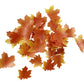 Edible Fall Leaves Set Of 35 Cake Decorations, Autumn Maple Leaf Cupcake Topper