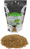 Organic Non-GMO Whole Oat Grain Seeds (With Husk Intact)- 1 Lb Re-Sealable Pouch- Oats Seed Grains, for Sprouting, Oat Grass, An
