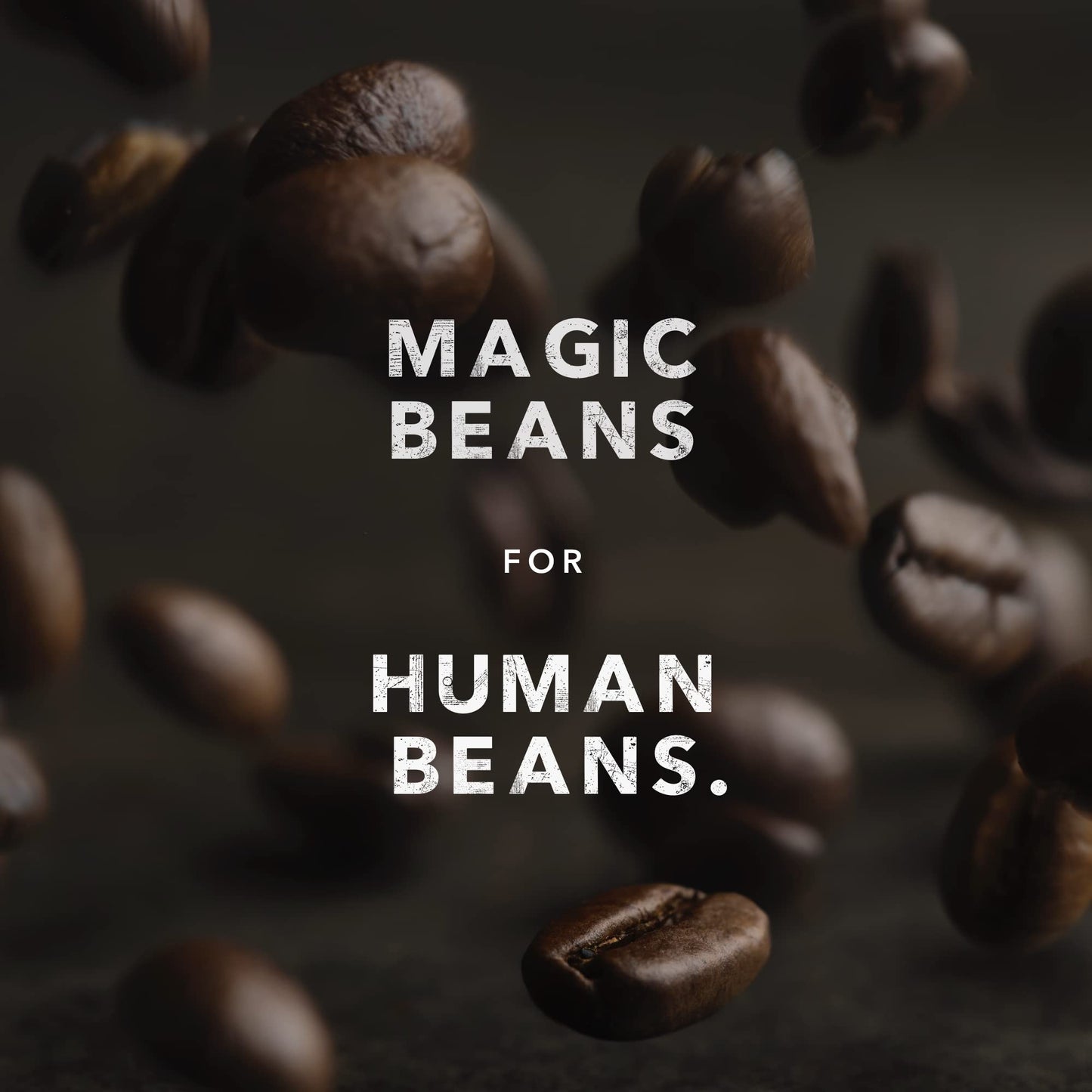Kicking Horse Hola Whole Bean (Light), 454 Gr