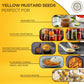 Pride Of India - Pack Of 6 - Yellow Mustard Seed Whole - Pungent & Aromatic - Gourmet Indian Spice - Add In Salads/Dressings/Chi