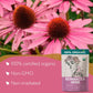 Echinacea Tea (Echinacea Purpurea) - Organic Echinacea Herb - Immune Support, Respiratory, Digestion - Loose Leaf Herbal Tea Equ