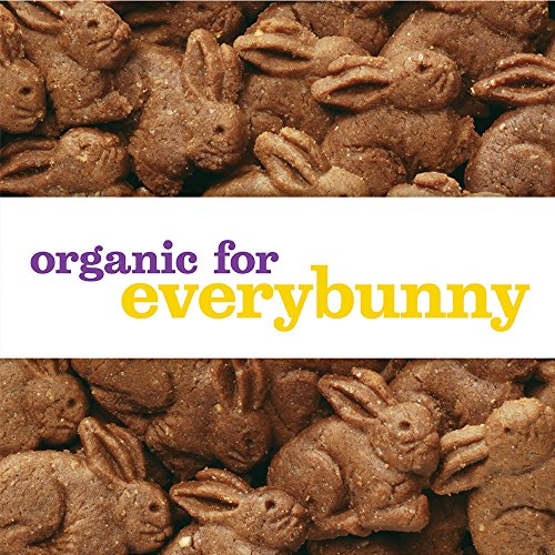 Annie 'S Homegrown Organic Chocolate Bunny Graham Snacks, 7.5 Oz. Box (Pack Of 12)