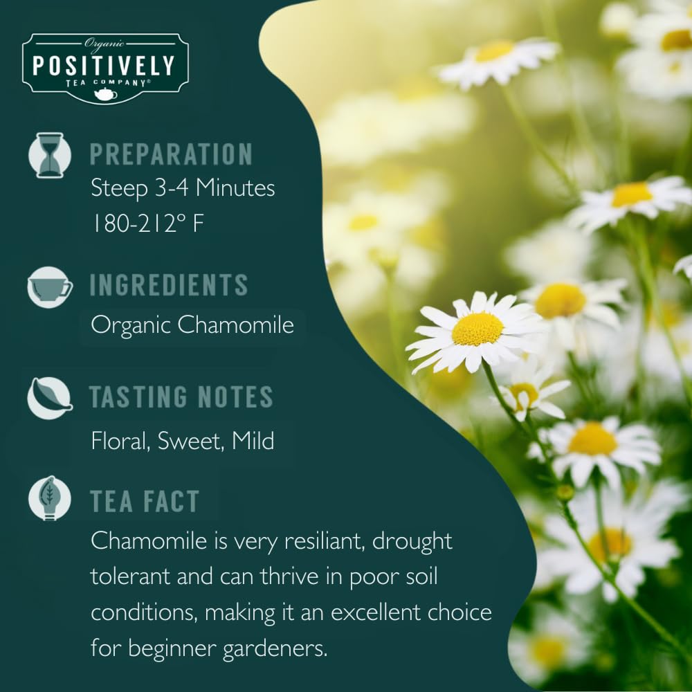 Organic Positively Tea Company Chamomile Herbal Tea Loose Leaf 16 Ounce