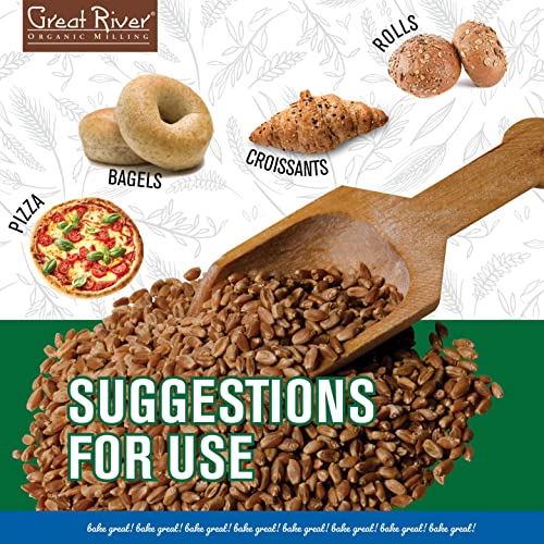 Great River Organic Milling, Whole Grain, Hard Red Spring Wheat, Organic, 25-Pounds (Pack Of 1)