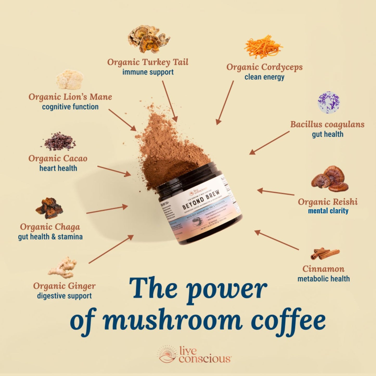 Live Conscious Superfood Coffee Alternative - Low Caffeine, Lion’s Mane & Reishi - 30 Servings (2-Pack)