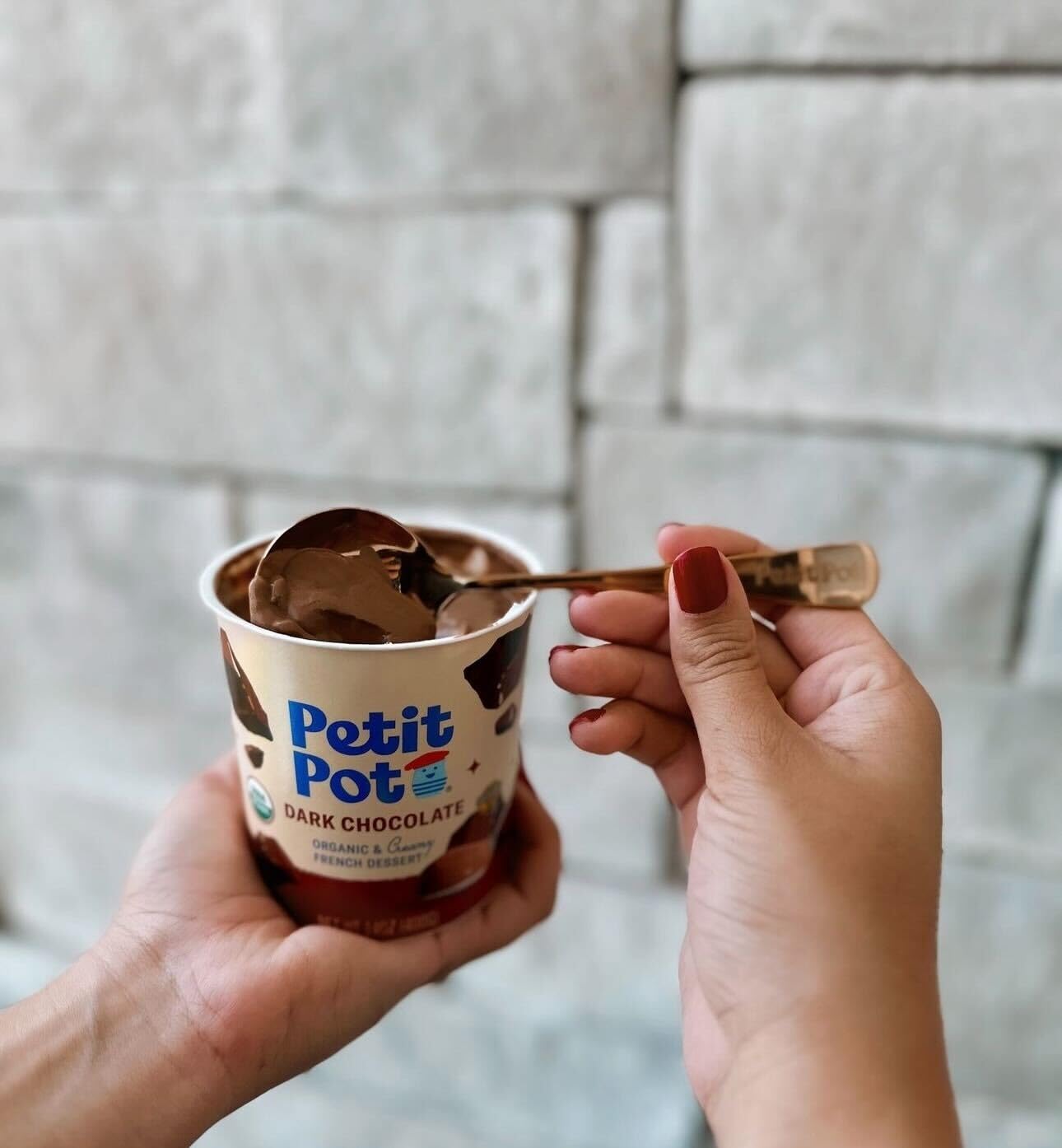 PETIT POT Organic Dark Chocolate French Dessert, 14 OZ