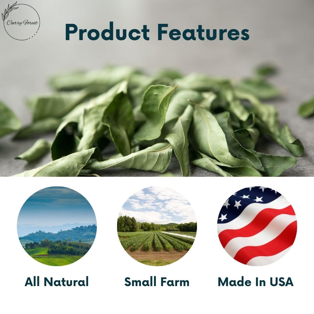 Curry Forest Dried Curry Leaves | 100% Naturally Grown | 20-25 g | Large Size | Product of USA