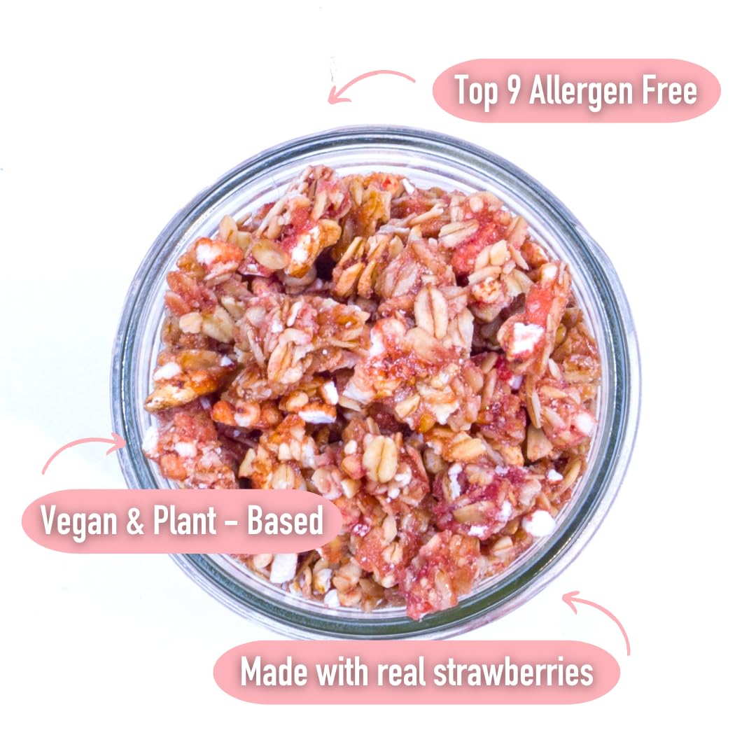 The Safe + Fair Food Company Strawberry Shortcake Granola - Gluten-Free, Dairy-Free, Non-GMO - 12oz Pack
