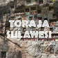 Toraja Sulawesi White Eagle Coffee, Fair Trade, Ground, Fresh Roasted, 5 lbs
