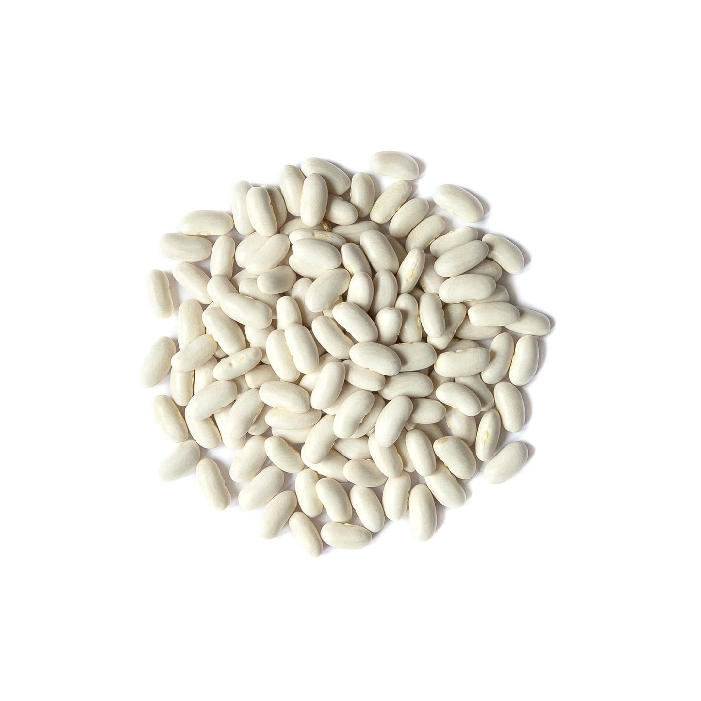 Food To Live - Cannellini Beans, 2 Pounds - Dried White Kidney Beans, Sproutable, Vegan, Kosher, Sirtfood, Bulk. Rich In Fiber,