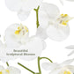 Cg Hunter Faux White Orchid Plant, Premium Artificial Indoor Flower Display Stands 23   , Beautiful Sculptural Blooms That Lasts