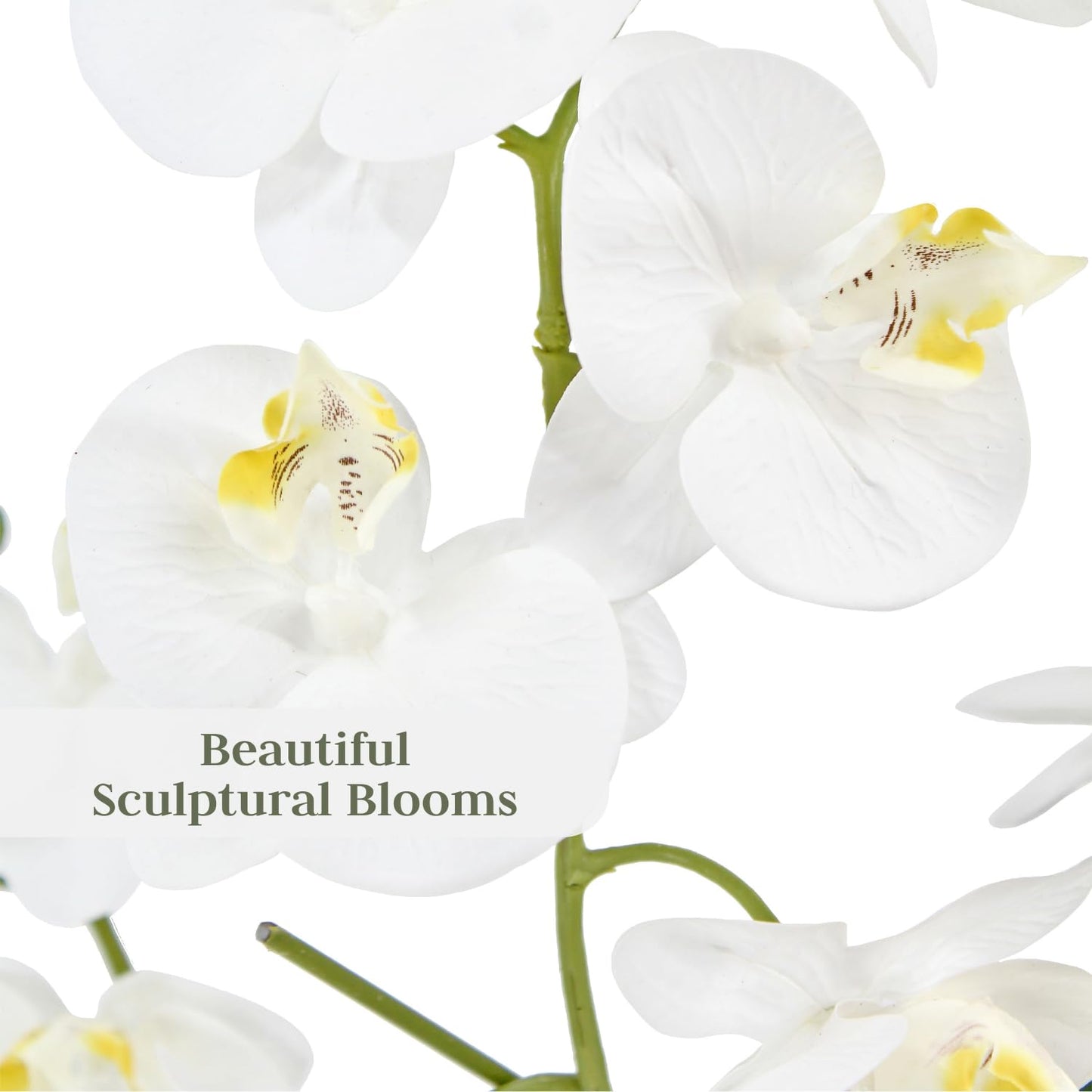 Cg Hunter Faux White Orchid Plant, Premium Artificial Indoor Flower Display Stands 23   , Beautiful Sculptural Blooms That Lasts
