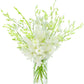 Premium Cut Dendrobium Orchids (White, 30 Stems with Vase) (Support Small Business)