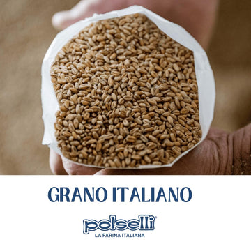 Polselli Organic Flour, Type 00, 100% Italian Grain, Double Zero Flour, Oo Extra Fine, Bio, Neapolitan Italian Pizza, Bread, Pas