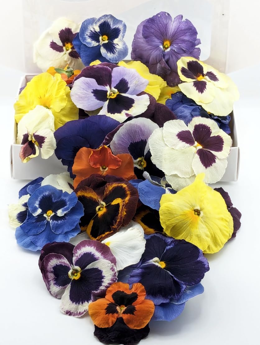 Pansy Edible Flowers for Cocktails & Desserts - 20 USA-Grown Freeze-Dried Flowers for Drink Garnish - Edible Dried Flowers (0.2 