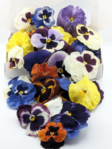 Pansy Edible Flowers for Cocktails & Desserts - 20 USA-Grown Freeze-Dried Flowers for Drink Garnish - Edible Dried Flowers (0.2 
