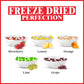 Northlandz Freeze Dried Candy | Rainbow Crunch Original | -42C Freeze-Dried | Assorted Sweet Fruit Flavors | 1.5Oz/Each| Light &