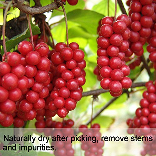 Wananfu Schisandra Berries Dried 4oz for Tea, Schisandra Berry, Natural Flavor